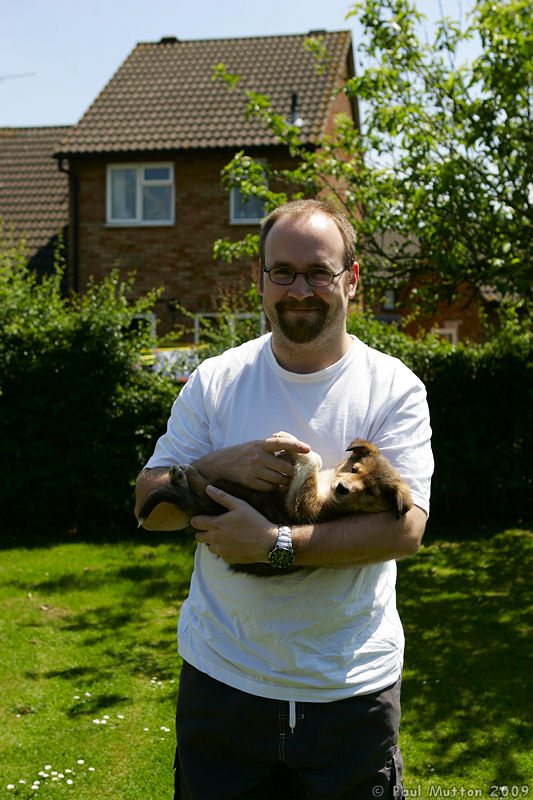 A8V6309 Archie puppy